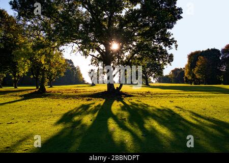 Sonniger Herbstabend Spaziergang durch den Golfplatz Stockfoto