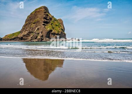 Taitomo Rock, bei Ebbe, Tasman Lookout Track, Waitakere Ranges Regional Park, Piha Beach, Auckland Region, North Island, Neuseeland Stockfoto