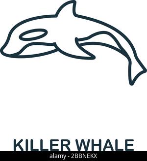 Killer Whale-Ikone aus der Wildtiersammlung. Einfaches Symbol für den Killer Whale für Vorlagen, Webdesign und Infografiken Stock Vektor