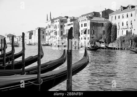 Gondeln am Canal Grande in Venedig, Norditalien. Schwarzweißfoto. Fotorealismus. Stockfoto