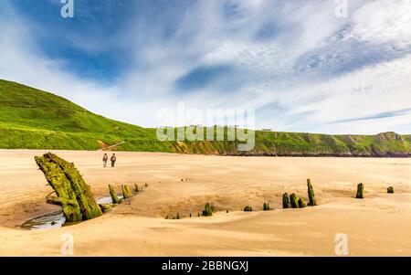 Die Eichenkarkasse des Schiffswracks von Helvetia am Rhossili Beach auf der Gower Peninsula, Wales Stockfoto