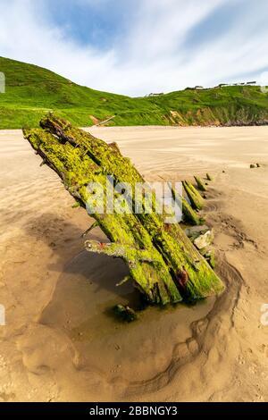 Die Eichenkarkasse des Schiffswracks von Helvetia am Rhossili Beach auf der Gower Peninsula, Südwales Stockfoto