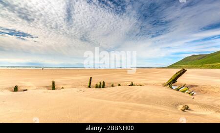 Die Eichenkarkasse des Schiffswracks von Helvetia am Rhossili Beach auf der Gower Peninsula, Südwales Stockfoto