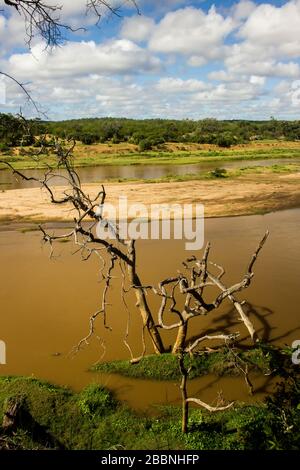 Am frühen Morgen am Olifants River, Kruger National Park, Südafrika, an einem sonnigen Tag mit einem toten Baum von einer alten Flut im Vordergrund Stockfoto