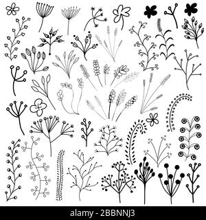 Satz handgezogene Doodle Blumen, Blätter und Zweige. Isoliert auf weißem Hintergrund. Stock Vektor