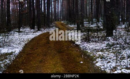 Eine braune schlammige und nasse Straße im Wald während der Winterzeit mit etwas Schnee im Wald Stockfoto