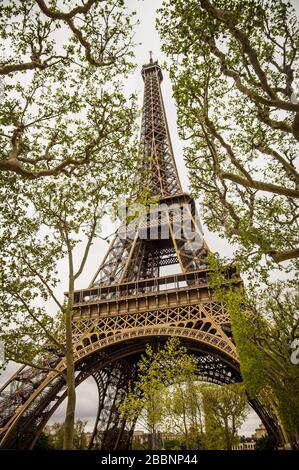 Blick auf den Eiffelturm zwischen den Bäumen in Paris Stockfoto