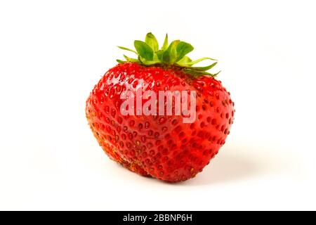 Reife Erdbeere dicht isoliert auf Weiß Stockfoto