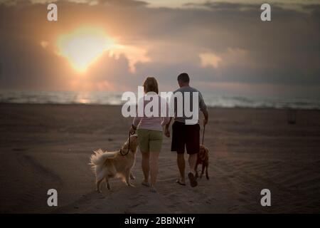 Mitte - erwachsene Paare, die ihre Hunde zu einem Spaziergang am Strand bei Sonnenuntergang. Stockfoto