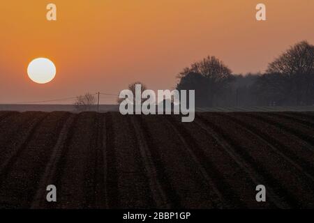 Sonnenaufgang über einem gepflügten Feld. Stockfoto