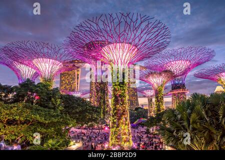 Die Supertree Grove Lichtshow in Gärten durch die Bucht natur park, Singapur Stockfoto