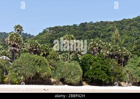 Schöne Landschaft im Nationalpark Mu Ko Lanta, Koh Lanta, Krabi, Thailand, Asien Stockfoto