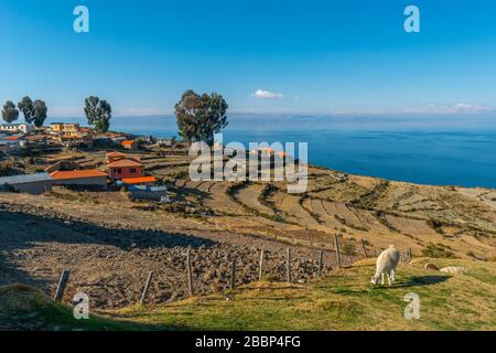 Isla del Sol oder Insel der Sonne, Titicacasee, Department La Paz, Anden Mountains, Bolivien, Lateinamerika Stockfoto