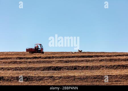 Xizang, Xizang, China. April 2020. Xian CHINA - 1. April 2020 - der Fotograf brauchte zehn Jahre, um die Landschaft des Plateaus einzufangen, jedes ist ein großes. Kredit: SIPA Asia/ZUMA Wire/Alamy Live News Stockfoto