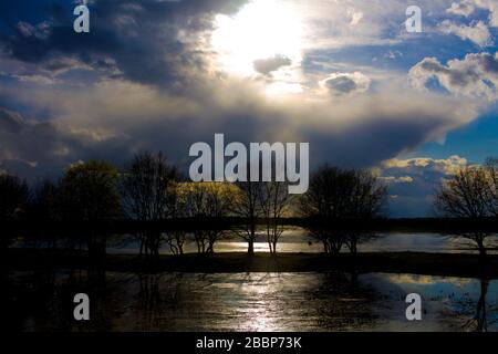 Landschaft der Biebrza-Sümpfe in Podlasie in Polen Stockfoto