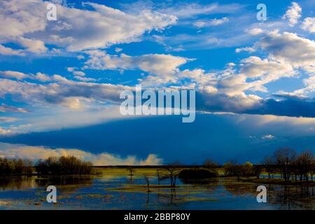 Landschaft der Biebrza-Sümpfe in Podlasie in Polen Stockfoto