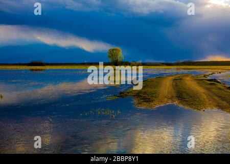 Landschaft der Biebrza-Sümpfe in Podlasie in Polen Stockfoto