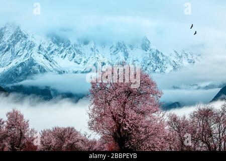 Xizang, Xizang, China. April 2020. Xian CHINA - 1. April 2020 - der Fotograf brauchte zehn Jahre, um die Landschaft des Plateaus einzufangen, jedes ist ein großes. Kredit: SIPA Asia/ZUMA Wire/Alamy Live News Stockfoto