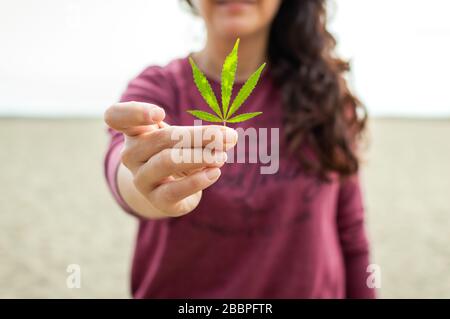 Nicht erkennbare Frauen in legeren Kleidungsstücken, die grünes Cannabisblatt zur Kamera zeigen, während sie am Strand stehen Stockfoto