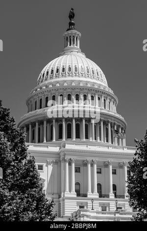 Thomas U. Walters prächtige gusseisernen Kuppel des US-Kapitols ragt 288' über dem Kapitol in Washington DC auf Stockfoto