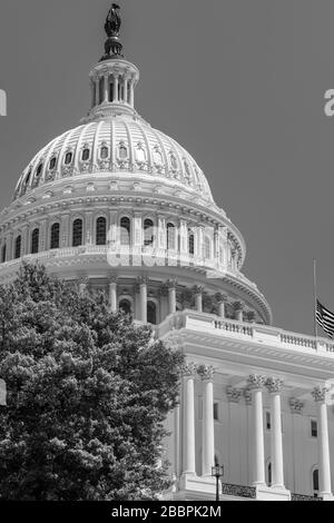 Thomas U. Walters prächtige gusseisernen Kuppel des US-Kapitols ragt 288' über dem Kapitol in Washington DC auf Stockfoto