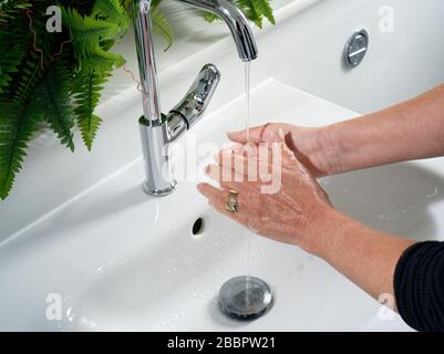 Eine Frau, die ihre Hände an einem Waschbecken waschen. Fließendes Wasser auf die Hände und das Becken dahinter klopfen. Badezimmer oder Toilette. Stockfoto