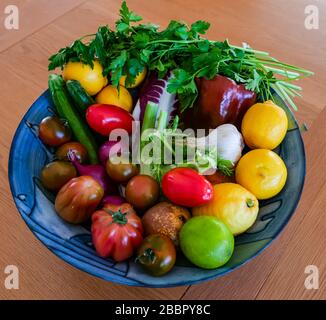 Bunte Schüssel mit frischem Obst und Gemüse: Chicoree, Petersiliekraut, Zwiebeln, Zucchini, Fenchel, Tomaten, Zitronen, Limetten, Pfeffer und Knoblauch Stockfoto