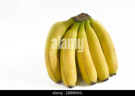 Bananenhaufen von den Kanarischen Inseln Spanien. Stockfoto