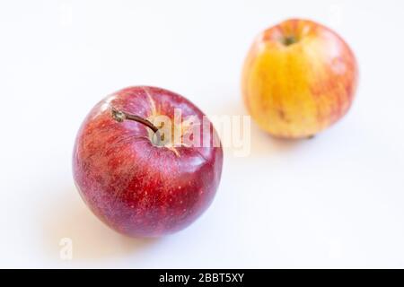 Äpfel mit Kopierbereich Stockfoto