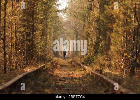 Ein einsamer Mann, der durch den Tunnel der Liebe läuft. Herbst. Stockfoto
