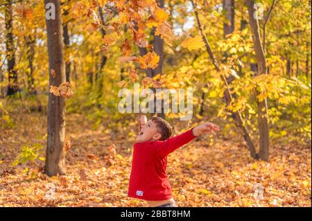 Glückliches Kind wirft gelbe Herbstblätter im Wald auf Stockfoto