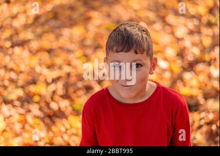 Kleiner Junge in Rot mit einem schönen Lächeln steht im Herbstpark auf umgestürztem Laub Stockfoto