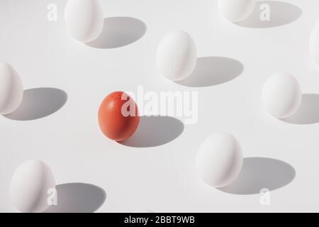 Ein braunes Ei unter mehreren weißen Eiern auf weißem Grund, isometrische Zusammensetzung Stockfoto