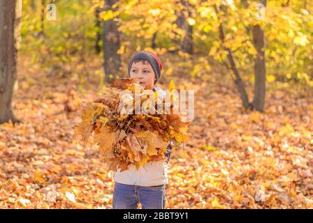 Teenager-Junge steht im Herbstgoldenwald und hält in den Händen eine große Armvoll gelber Blätter Stockfoto