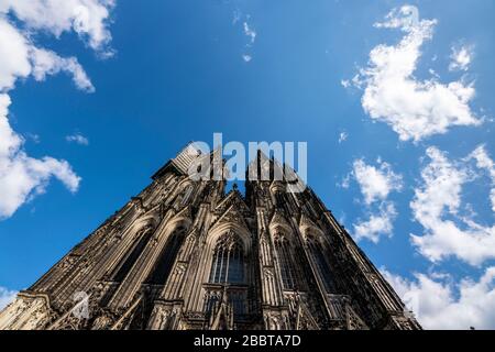 Kölner Dom, Blick auf die Westfaade, auf den Nordturm Arbeitsgerüst mit Steinschlagschutz Köln, Deutschland, Stockfoto