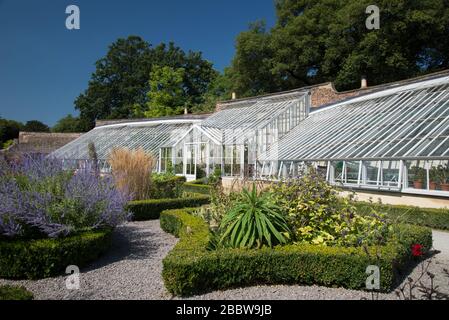 Wintergarten Glasshouse Greenhouse Garden Landscape at Fulham Palace, Bishop's Avenue, Fulham, London, SW6 6EA Stockfoto