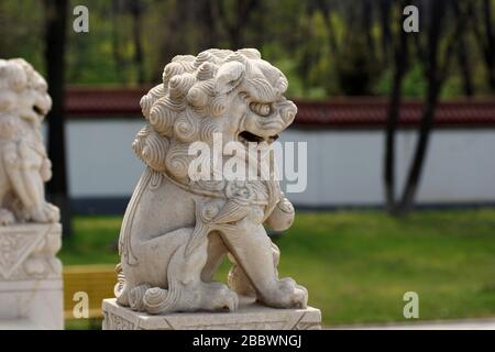 Chinesische Schutzlöwen, Kaiserliche Schutzlöwen, Shi, Foo Dog, Fu Dog, Lion Dog. Jade Buddha Park, Anshan, Provinz Liaoning, China, Asien. Stockfoto