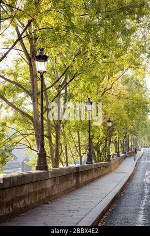 Sonnenlicht am frühen Morgen auf einem von Bäumen gesäumten Gehweg entlang der seine auf der Ile Saint Louis, Paris, Frankreich Stockfoto