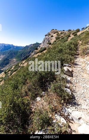 Mediterrane Landschaft am Cerro Coros im Naturpark Sierra de Grazalema, Andalusien, Spanien. Stockfoto