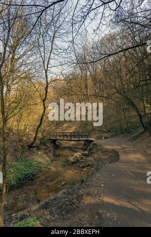 Kleine Holzbrücke in den Buda-Bergen in der Nähe des Dorfes Solymar, Ungarn. Stockfoto