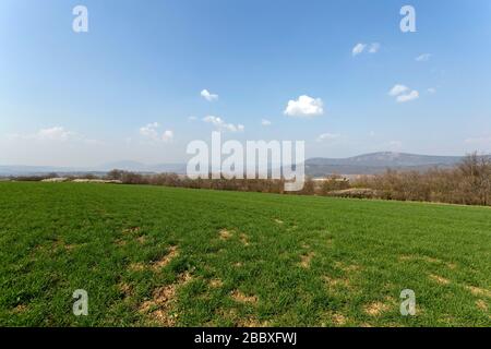 Grünes Feld in den Buda-Bergen, in der Nähe von Solymar, Ungarn an einem sonnigen Frühlingstag. Stockfoto