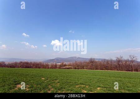 Grünes Feld in den Buda-Bergen, in der Nähe von Solymar, Ungarn an einem sonnigen Frühlingstag. Stockfoto