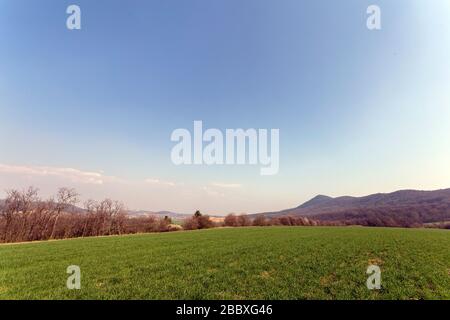 Grünes Feld in den Buda-Bergen, in der Nähe von Solymar, Ungarn an einem sonnigen Frühlingstag. Stockfoto