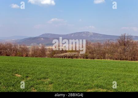 Grünes Feld in den Buda-Bergen, in der Nähe von Solymar, Ungarn an einem sonnigen Frühlingstag. Stockfoto