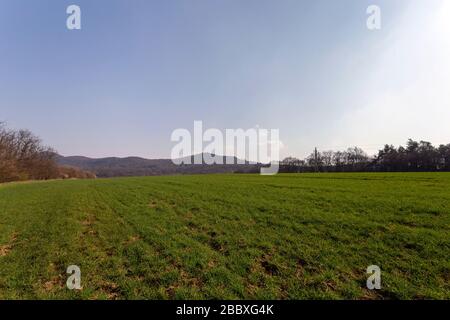 Grünes Feld in den Buda-Bergen, in der Nähe von Solymar, Ungarn an einem sonnigen Frühlingstag. Stockfoto
