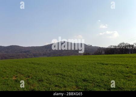 Grünes Feld in den Buda-Bergen, in der Nähe von Solymar, Ungarn an einem sonnigen Frühlingstag. Stockfoto