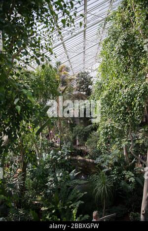 Barbican Conservatory Concrete Architektur Barbican Estate aus den 1960er Jahren von Chamberlin Powell und Bon Architects Ove Arup in Silk Street, London Stockfoto