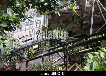 Barbican Conservatory Concrete Architektur Barbican Estate aus den 1960er Jahren von Chamberlin Powell und Bon Architects Ove Arup in Silk Street, London Stockfoto