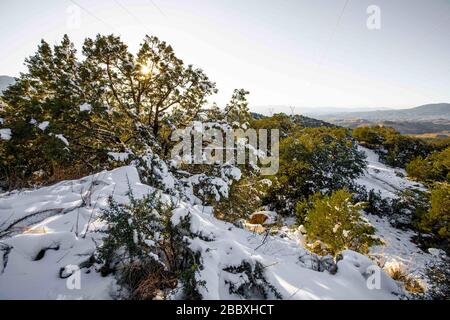 Ein Sonnenstrahl durchdringt die Blätter und Äste der Eiche, an einem Tag mit klarem Himmel und blauem Himmel. Winter in Cananea, Sonora, Mexiko. Schnee auf den Bergen La Mariquita und Sierra Elenita. 2020. (Foto von: GerardoLopez / NortePhoto.com)... ... un rayo de luz de sol atraviesa las hojas y ramas de arbol encino, durante un dia con cielo despejado y cielo azul. Invierno en Cananea, Sonora, Mexiko. Nieve en la siera la Mariquita y sierra Elenita . 2020. (Foto von: GerardoLopez/NortePhoto.com ) Stockfoto