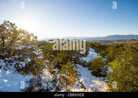 Ein Sonnenstrahl durchdringt die Blätter und Äste der Eiche, an einem Tag mit klarem Himmel und blauem Himmel. Winter in Cananea, Sonora, Mexiko. Schnee auf den Bergen La Mariquita und Sierra Elenita. 2020. (Foto von: GerardoLopez / NortePhoto.com)... ... un rayo de luz de sol atraviesa las hojas y ramas de arbol encino, durante un dia con cielo despejado y cielo azul. Invierno en Cananea, Sonora, Mexiko. Nieve en la siera la Mariquita y sierra Elenita . 2020. (Foto von: GerardoLopez/NortePhoto.com ) Stockfoto